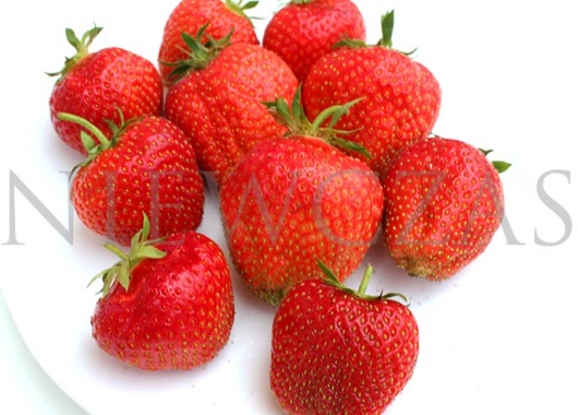 Fruits of Elsanta on the plate