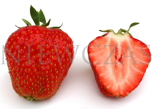 Cut fruit of the Elsanta variety