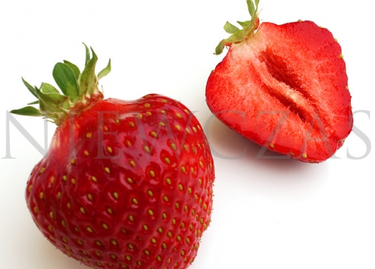 Cut strawberry fruit of the Honeoye variety