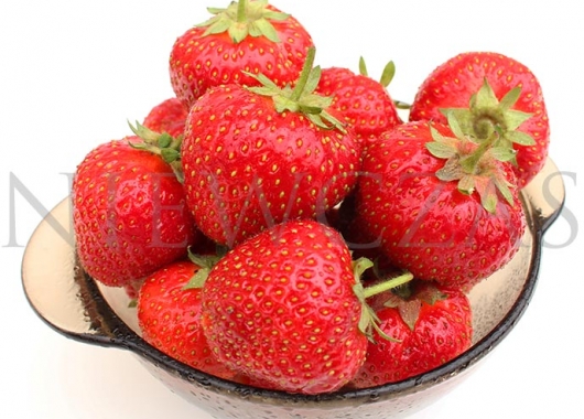 Owoce odmiany Elkat w miseczce