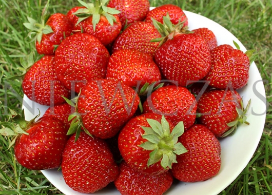 Polka strawberry fruits on the plate