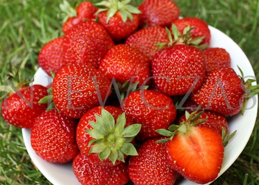 Strawberry fruits Polka variety
