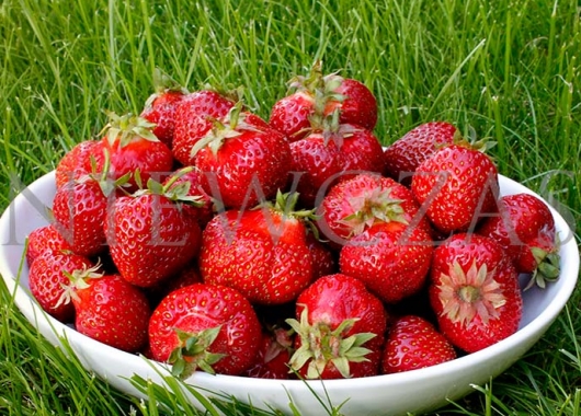 Fruits of Elkat on the plate