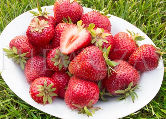 Florence red strawberry on a plate
