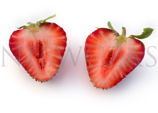 Florence strawberry fruits