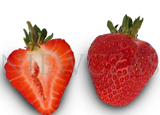 BL42*Federica® strawberry fruits on a plate