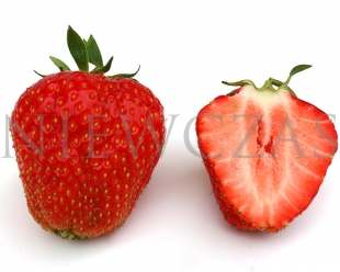 Cut strawberry of Elsanta variety