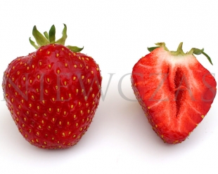 Cut strawberry fruit of Kent variety