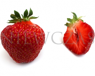 Cut strawberry fruit of Senga Sengana