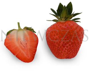 Strawberry fruits of BL39*Arianna® variety