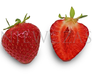 Przekrojony owoc truskawki Mara des Bois